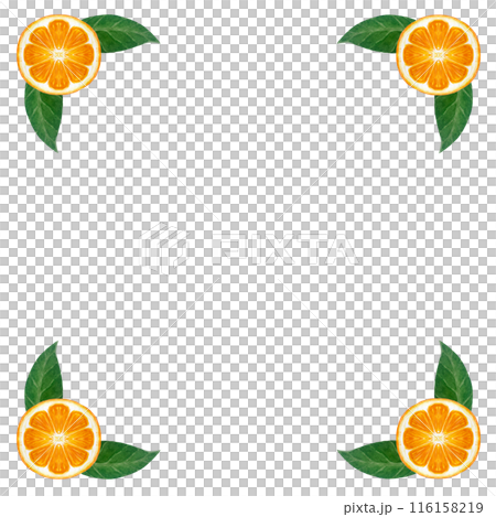 Orange fruit, mandarine slice with green leafs watercolor frame isolated on white. High quality hand drawn art for cards, packages, restaurant menu, natural organic food, logo decor and design 116158219