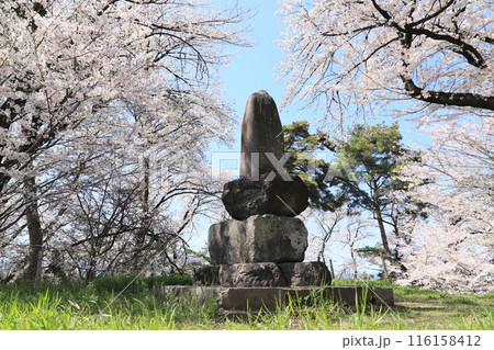 桜の総社二子山古墳 桜の総社二子山古墳 116158412