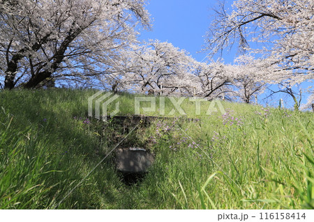 桜の総社二子山古墳 桜の総社二子山古墳 116158414