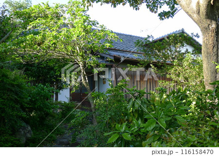 三淵邸・甘柑荘 116158470