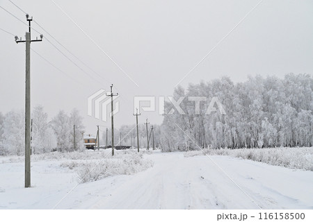 Power lines in the winter forest.Power lines in the winter forest. Power outages due to severe frost. Abnormal weather. 116158500