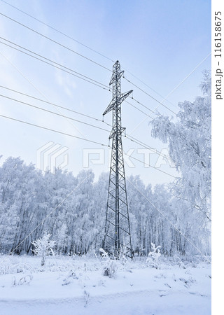 Power line in sunny winter day Power line in sunny winter day 116158675