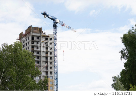 A construction crane on a blue sky background. 116158733
