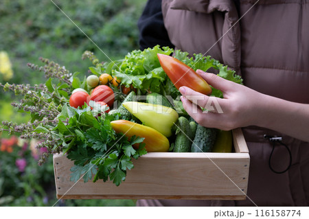 The older woman holds a box of vegetables 116158774