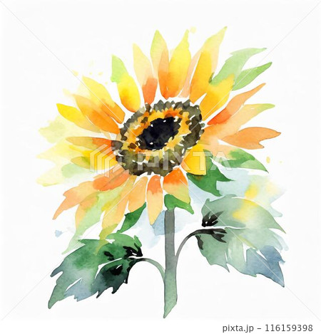 ひまわり 116159398
