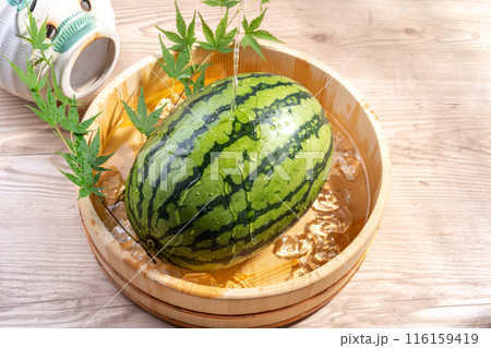 西瓜を冷やす 西瓜を冷やす 116159419