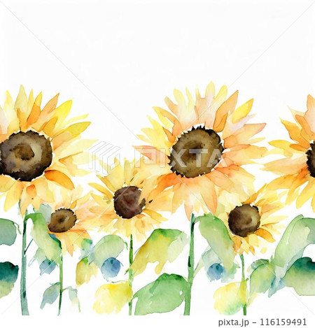 ひまわり 116159491