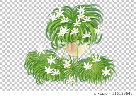 Crane and orchid flower card 2 116159643