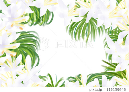 折鶴蘭の花のカード5 116159646