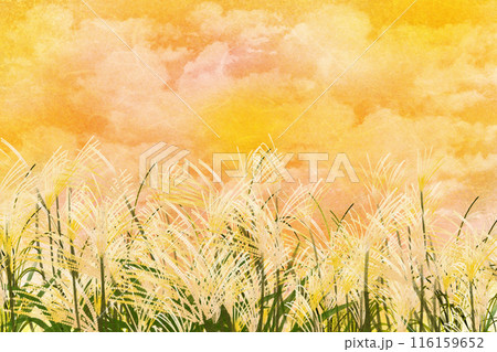 ススキ野原と夕日のカード3 116159652