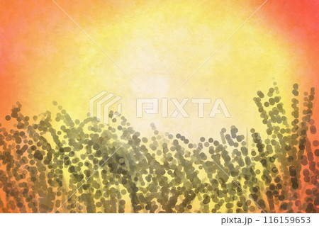 ススキ野原と夕日のカード4 116159653