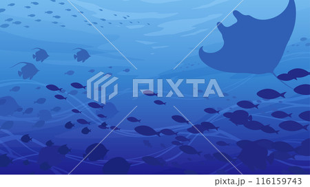 海中を泳ぐ魚の群れの背景_16:9 116159743
