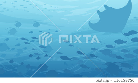 海中を泳ぐ魚の群れの背景_16:9 海中を泳ぐ魚の群れの背景_16:9 116159750