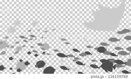 Background of a school of fish swimming in the ocean_Silhouette_16:9 Background of a school of fish swimming in the ocean_Silhouette_16:9 116159789
