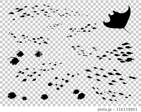 Set of silhouettes of a school of fish swimming in the sea 116159801