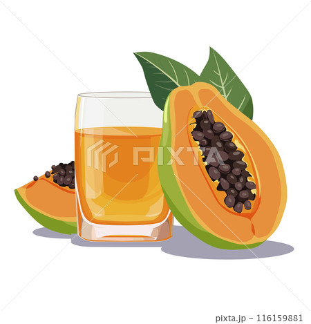 Full glass of orange freshly squeezed papaya juice. Isolated vector summer drink for flat design Full glass of orange freshly squeezed papaya juice. Isolated vector summer drink for flat design 116159881