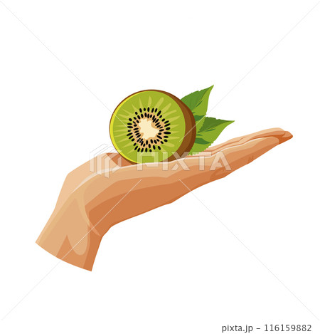green kiwi in the palm isolated on white background. Vector fruit clipart in flat style for design green kiwi in the palm isolated on white background. Vector fruit clipart in flat style for design 116159882