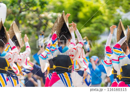 【徳島】阿波おどり 116160315