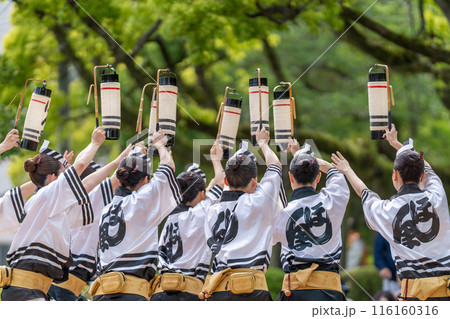 【徳島】阿波おどり 【徳島】阿波おどり 116160316