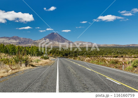 Volcanic Landscape, Tongariro 116160759
