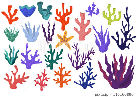 Ocean or sea coral reefs and seaweed collection isolated on white background. 116160890