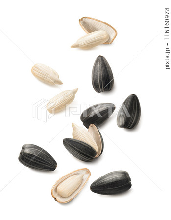 Sunflower seeds scattered isolated on white background. Top view 116160978