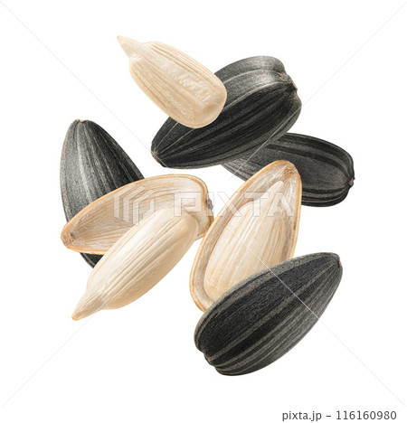 Loose pile of sunflower seeds isolated on white background. Top view 116160980
