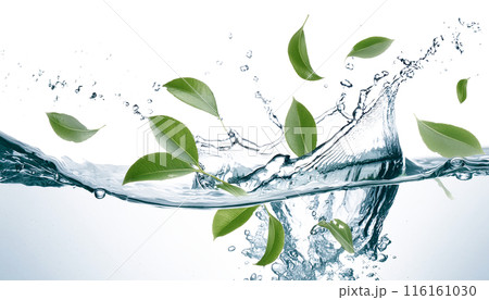 水飛沫を上げる水 116161030