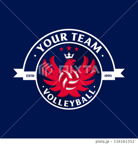Volleyball emblem logo background vector design Volleyball emblem logo background vector design 116161352
