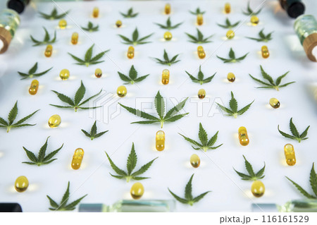 Cannabis ,marijuana isolated on white background 116161529
