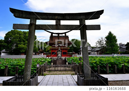 伊賀八幡宮　明神鳥居 116161688