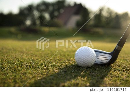Closeup Golf ball on green grass on course, Sport and lifestyle Closeup Golf ball on green grass on course, Sport and lifestyle 116161715