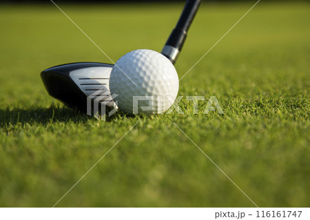 Closeup Golf ball on green grass on course, Sport and lifestyle Closeup Golf ball on green grass on course, Sport and lifestyle 116161747