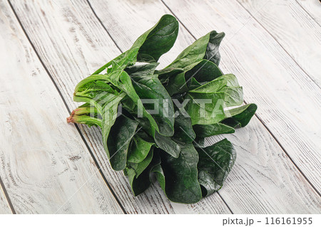 Ripe green spinach leaves heap 116161955