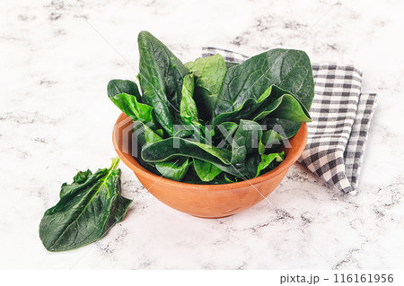 Ripe green spinach leaves heap 116161956