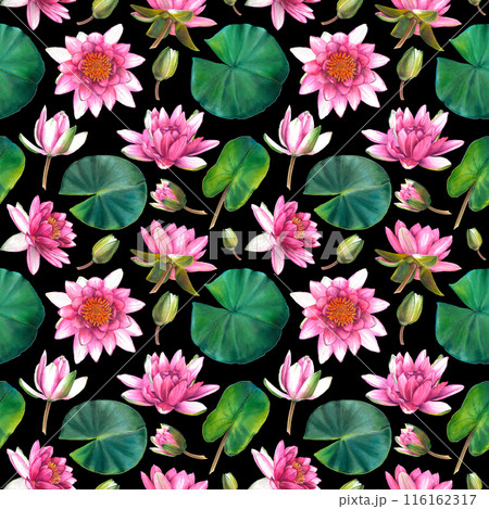 Seamless Pattern with green leaves, blooming water lily flowers and buds. Hand drawn watercolor illustration of lotus for wrapping paper, wallpaper or textile design. Print on dark black background. Seamless Pattern with green leaves, blooming water lily flowers and buds. Hand drawn watercolor illustration of lotus for wrapping paper, wallpaper or textile design. Print on dark black background. 116162317