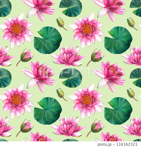 Water lilies. Watercolor seamless pattern with pink flowers and green leaves on green background. Hand painted botanical drawing. Floral illustration for textile design, wallpaper or wrapping paper. 116162321