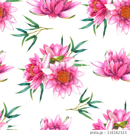 Seamless pattern with pink flowers of a water lily and a sprig of bamboo. Hand drawn watercolor illustration of exotic lotus composition for wrapping paper or textile design. Print on white background 116162323