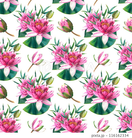 Seamless pattern with pink flowers, green leaves, buds of water lily and a sprig of bamboo. Hand drawn watercolor illustration of exotic lotus on white background. Botanical drawing for textile design 116162334