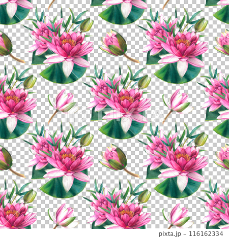 Seamless pattern with pink flowers, green leaves, buds of water lily and a sprig of bamboo. Hand drawn watercolor illustration of exotic lotus on white background. Botanical drawing for textile design 116162334