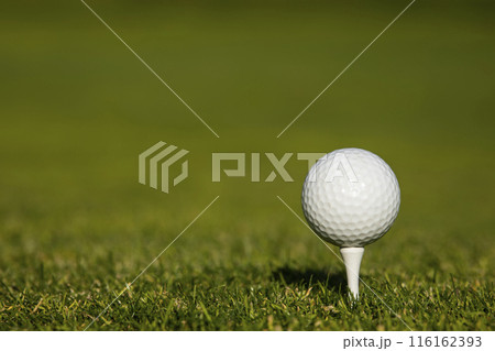 Golf ball on the golf course Golf ball on the golf course 116162393