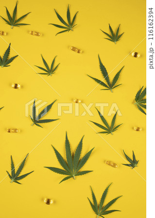 Cannabis leaves with marijuana, cbd, Flat lay composition Cannabis leaves with marijuana, cbd, Flat lay composition 116162394