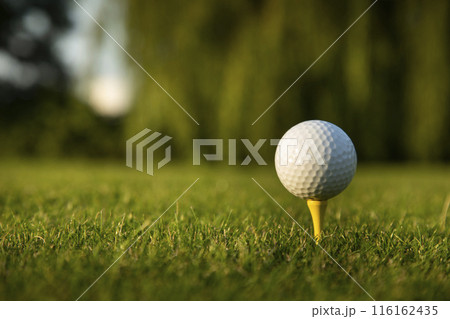Golf course with ball and grass 116162435