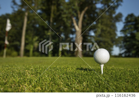.Golf course with ball and grass 116162436