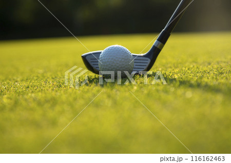 Playing Golf ball, course on a sunny day 116162463