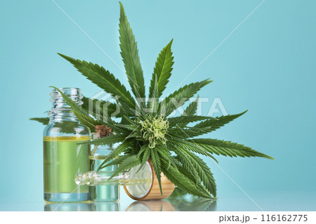 Hemp oil and marijuana leaves on hemp extract, cbd 116162775