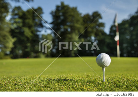 .Golf course with ball and grass .Golf course with ball and grass 116162985