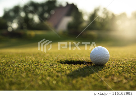 Golf course with ball and grass Golf course with ball and grass 116162992