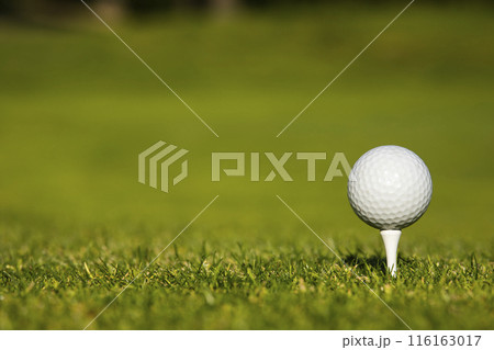 Golf ball and clubs in golf field 116163017