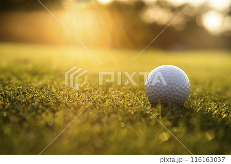 Golf ball and clubs in golf field Golf ball and clubs in golf field 116163037